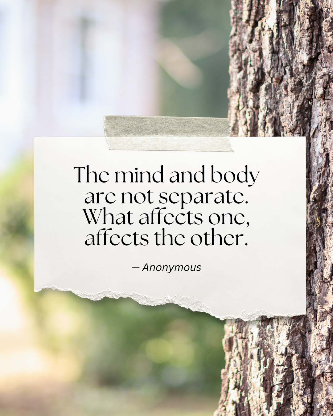 What is kinesiology